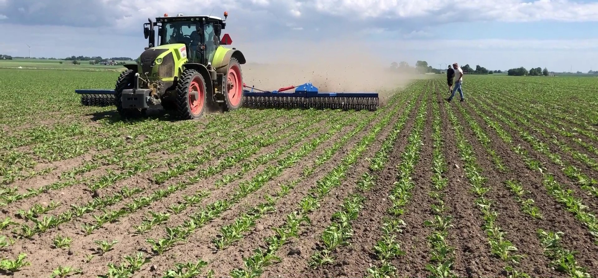 GST Biostar i arbejde i marken med afgrøden i rækker foran maskinen